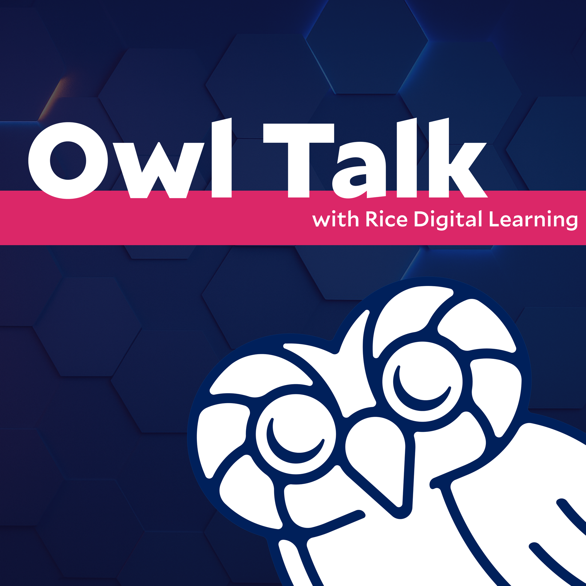 Owl graphic representing a discussion on ROC digital learning strategies and tools.